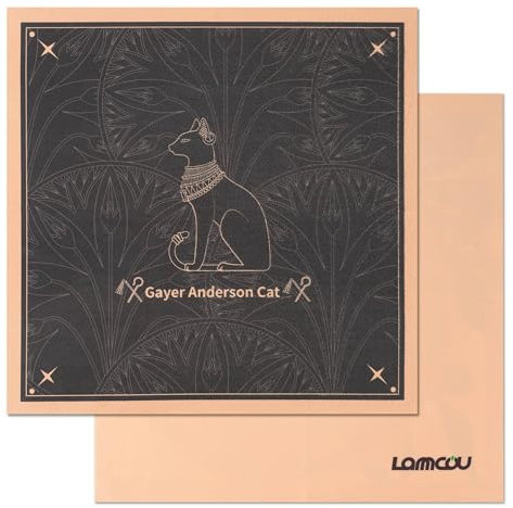 Lammcou Glasses Cleaning Cloth, Microfibre Lens Glasses Cloth for Spectacles Optician Quality Lint-Free Eyeglass Cleaner Wipes for Camera Display Phones Tablet Screen 25 * 25cm Black (4)