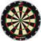 ONE80 Gladiator 4 G4 Dartboard – Profi Dartscheibe aus Sisal | Turnier Dartboard mit Spiderless-Technologie für Steel Darts | Bristle Board für Wettkampf & Training