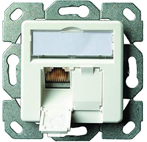 Telegärtner Datenanschlussdose Cat6A 2-Fach 2xRJ45 J00020A0500 AMJ45 8/8 UP/50 alpinweiß 5 V, Weiß (4 Dosen)