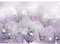 Runa Art Fototapete Blumen Pusteblume Modern Vlies Wohnzimmer Schlafzimmer - Made in Germany - 308 x 220 cm Violett 9432010b