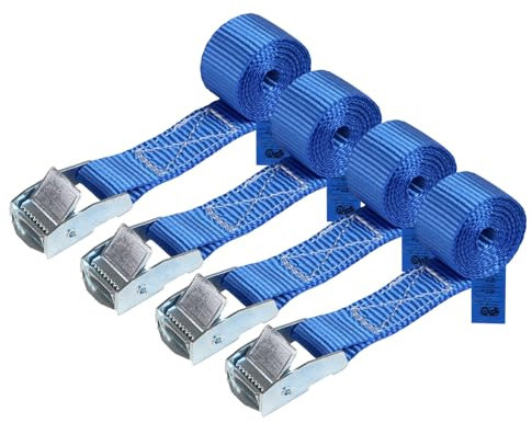Zurrgurt Spanngurt belastbar bis 250 kg DIN EN 12195-2 Befestigungsgurt Klemmverschluss Befestigungsriemen blau Verschiedene Längen Stückzahlen, 4er Pack 2.5 cm x 1 m