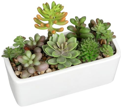 Arborus 18cm Artificial Succulent Plants Faux Mix Succulents in Black Ceramic Pot Artificial Succulents Potted Indoor Fake Plants in Rectangular Pot for Office Home Bathroom Shelf Decor