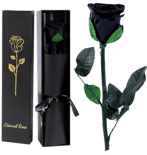 FRFG Vera Rosa Eterna Regalo Donna, Stabilizzata Vera Rosa con Steli Idee Regalo per Anniversario, Mamma, Donna Compleanno, San Valentino per Donne (Nero)