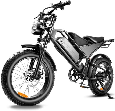 Fanesen Electric Bike for Adults, 48V18.2Ah Removable Battery Ebike, Dual Shock Absorbers 20 Inch All-Terrain Tires Off-Road Electric Mountain Bike for Urban Commuting, Various Terrain