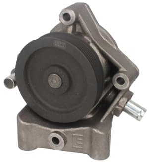 Hepu P1203 Wasserpumpe