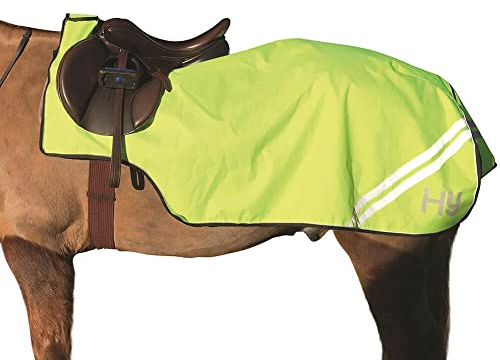 HyVIZ Reflector Exercise Sheet