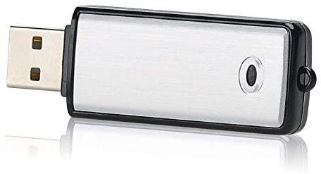 Lychee Mini Dictaphone Enregistreur Vocal Numérique 8GO/Capacité de 90 Heures/Son activé par la Voix/USB Rechargeable/Boîtier métallique/pour Conférences,Réunions et Cours (Argent)