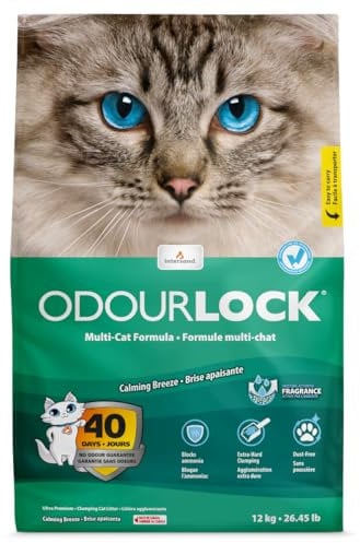 Intersand OdourLock Soothing Breeze Cat Litter 12 kg
