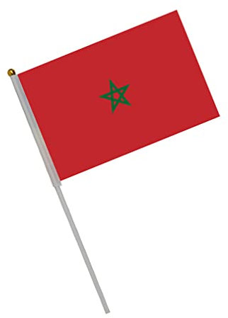 AMMICCO International Drapeau de Bâton Monde 50 pièces Drapeau Tenu dans la Main Mini Flag Bannière Coupe du Monde Fans Main Agitant Petit Drapeau Nationaux (Maroc)