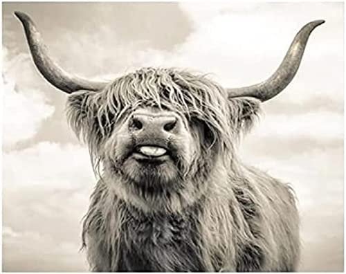 KESIMO Puzzles For Adults 1000 Piece，Highland Cow Jigsaw Puzzles Kids Educational Intellectual Decompressing Fun Family Game 70 * 50cm