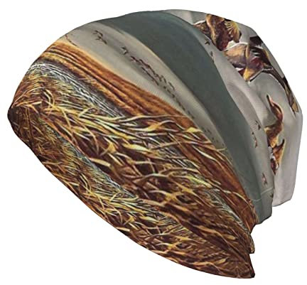 EVANEM Onyx Stone Strickmütze für Erwachsene, krempellos, modisch, Unisex, weich, für den täglichen Gebrauch im Freien, auf Reisen, Jagd Fliegende Wilde Enten, Einheitsgröße