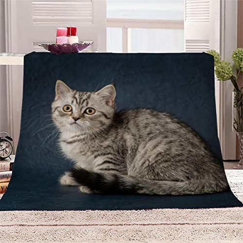 VIROGE Kuscheldecke Erwachsene 180x220 cm Katze Weiche Flauschige Flanelldecke mit Muster 3D Effekt Decke Microfaser Wohndecke Tier Kätzchen Tagesdecke Sofadecke Couchdecke TV-Decken