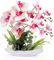 cailion Künstliche Orchideen Kunstblumen Künstliche Phalaenopsis Orchidee Bonsai künstliche Blumen mit Imitation Gefälschte Orchideen für Wohnzimmer Badezimmer Tischdekoration (pink001)
