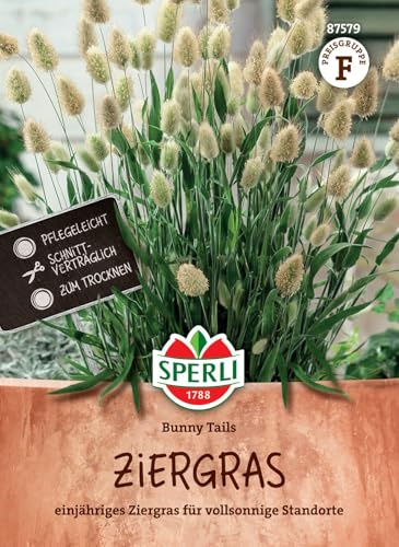 Sperli 87579 Ziergras Bunny Tails (Gräsersamen)