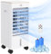 HOMCOM Enfriador de Aire Portátil 3 en 1 Climatizador Evaporativo Oscilante con Pantalla LED 3 Velocidades Temporizador 7,5h Mando a Distancia Tanque de Agua 3L Efecto 15-20 ㎡ 22,5x24,5x53,5 cm Blanco