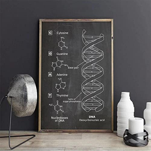 HMXQLW Schwarz Weiß DNA Modell Genetik Biologie Wandkunst Bild Labor Wand Studie Dekoration Bilder Leinwand Bilder Poster und Drucke Wandkunst Malerei Schlafzimmer Rahmenlos (70X100CM)
