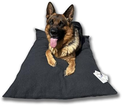 Dorian Home - Cuccia Cane Interno Taglia Grande, Media e Piccola - Cuscino Cane e Gatto Lavabile senza Sfoderare, Extra Imbottito e Morbido - Cuscino per Cani e Gatti Antimacchia Resistente ai Graffi
