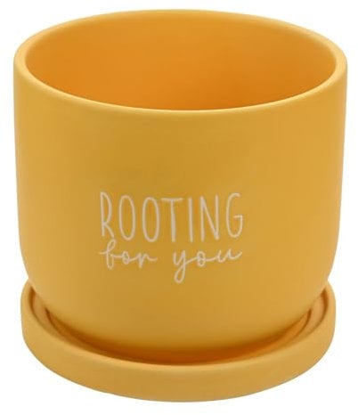 Widdop Bright Yellow Ceramic Plant Pot With Saucer Rooting For You Planter Large Country Living