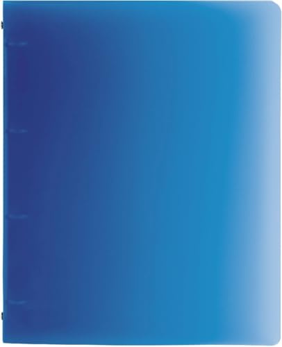 Brunnen 10 x Ringbuch Fact!pp A4 16mm 4 Ringe blau
