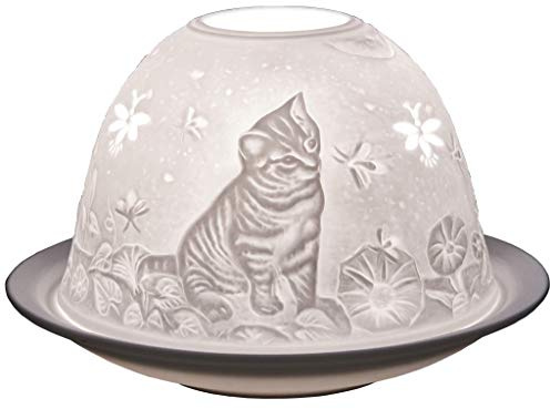 plaristo Kätzchen Teelichthalter mit 6,5 cm hoch Porzellan Dome Light, weiß