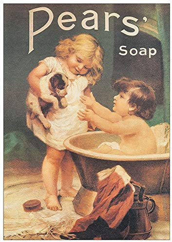 Artopweb TW20371 Pears Soap Dekorative Paneele, Holzwerkstoff, Multifarbiert, 48x68 Cm
