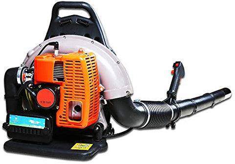 CGOLDENWALL Snow Leaf Blower per Serre Neve Zaino Motore a Benzina Road Blower Portatile Estintori Ad Alta Potenza Cordless Spazzatrice EB860