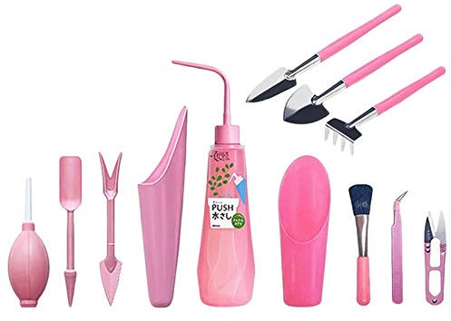 flouris 12 Suculentas Herramientas Kit, Suculentas Planta Herramientas Garden Mano Trasplantamiento Suculento Bonsai Tools Set - Kit Herramientas Regadera Plantación Jardín para Suculentas