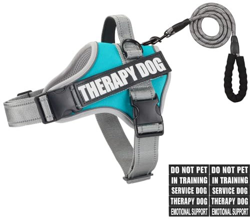 Animire Hundeweste, Geschirr und Leine, reflektierend, Service-Hundeweste im Training, Hundegeschirr mit 10 Flicken, 3 Ringen, emotionale Unterstützung, Therapie-Hundegeschirr für kleine, mittelgroße