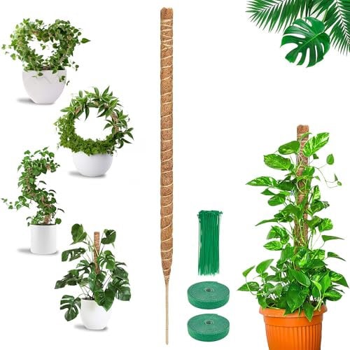 COZCLAM Palo di Muschio, 1Pezzi 160cm Tutore Piante, Palo in Fibra di Cocco per Piante Rampicanti, Pieghevoli Supporti per Piante, Supporto per Monstera per Piante Rampicanti che Crescono Verso l'alto