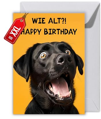 Lustige Geburtstagskarte Hund – Witzige Klappkarte DIN A6 „WIE ALT?! Happy Birthday“ – Humorvolle Grußkarte mit Umschlag für Männer, Frauen, Freunde & Kolleginnen (XXL DIN A4)