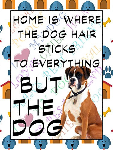Shawprint Boxer Dog Fridge Magnet 100mm x 75mm HOME IS WHERE THE DOG HAIR STICKS TO EVERYTHING BUT THE DOG NOVELTY GIFT
