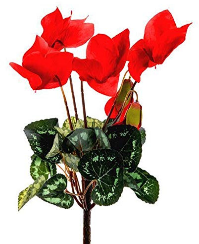 Portal Cool Artificiale Ciclamino pianta - Fiori Rossi - Decorative Fiori Ciclamini Natale