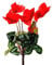 Portal Cool Artificiale Ciclamino pianta - Fiori Rossi - Decorative Fiori Ciclamini Natale