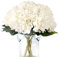 Kimura's Cabin 6 mazzi di ortensie bianche, in seta, con steli, ortensie finte, steli per casa, matrimoni, feste, decorazione per tavolo, colore bianco, confezione da 6