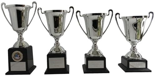 County Engraving Personalised Large Silver Cup Trophy Award for Any Sport In 4 Sizes - Enter Your Own Custom Text (Large)