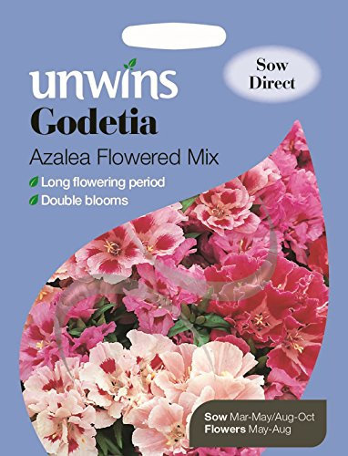 Unwins Pictorial Packet - Godetia Azalea Flowered Mix - 800 Seeds