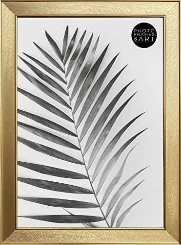 PF+A A4 Photo Frame - Glass Window - Richmond Gold Poster Frame (29.7x42cm)