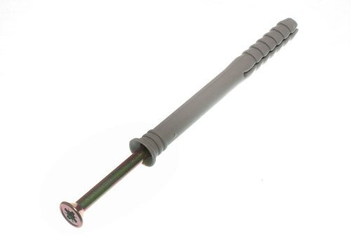100 X Hammer Fixing With Nylon Wall Plug M10 X 100Mm