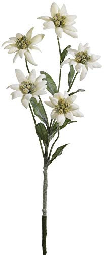 mucplants künstlicher Alpen-Edelweiß-Stecker mit 5 Blüten ca. 37cm Weiß Kunstblume Alpenblume Dekopflanze
