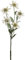 mucplants künstlicher Alpen-Edelweiß-Stecker mit 5 Blüten ca. 37cm Weiß Kunstblume Alpenblume Dekopflanze