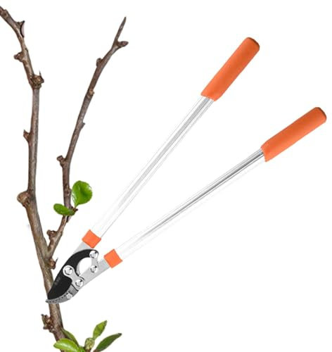 Coupe-branches avec long manche - Sécateur robuste pour élaguer les arbres fruitiers - Ciseaux à main antidérapants avec long manche - Sécateur de jardin pour élaguer les arbres fruitiers, les fleurs
