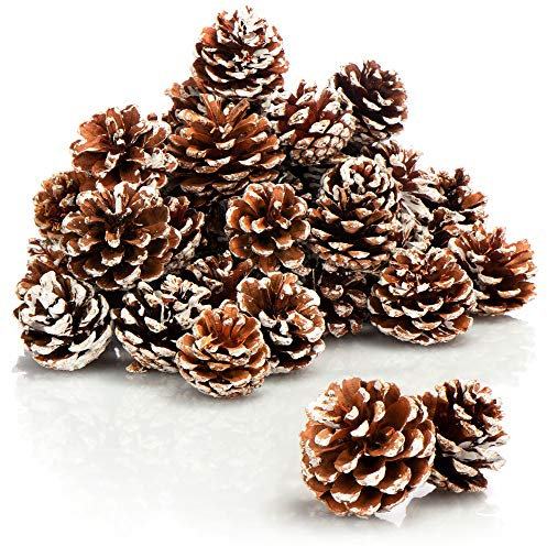 COM-FOUR® 30x Tannenzapfen weiße Spitze - Pinienzapfen als Weihnachtsdekoration - Zapfendeko - Streudeko - Bastelset - Weihnachtsschmuck (30 Stück - weiße Spitze)