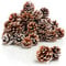 COM-FOUR® 30x Tannenzapfen weiße Spitze - Pinienzapfen als Weihnachtsdekoration - Zapfendeko - Streudeko - Bastelset - Weihnachtsschmuck (30 Stück - weiße Spitze)