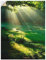 ARTland Wanddeko Wandtattoo selbstklebende Vinylfolie 90x120 cm Natur Landschaft Wald Sonne Wiese Landhaus Modern T5XX