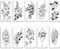 suaywo 10 Blatt 3D Groß Schwarz Rose Blume Realistische Temporäre Tattoos Frauen Körper Arm Beine Wasserdicht Temporary Tattoos Erwachsene Fake Tattoos Frauen für Männer Aufkleber