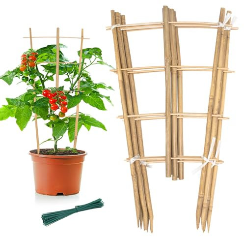 Garden Bamboo Trellis 16 Inch Fan Shaped Small Plant Trellis,Natural Wood Trellis for Climbing Plants Orchid Monstera Indoor Potted Plants-6 Pack