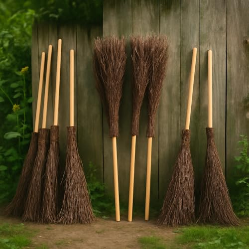 Reisigbesen Weide 160 x 45 cm mit Stiel 10 STK. - Natur Kehrbesen aus Weide