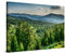 PICANOVA – Leinwandbild Sonnenuntergang im Zedernwald 120x80cm – Premium Leinwanddruck – Wandbild Kunstdruck Auf 2cm Holz-Keilrahmen Für Schlaf- Und Wohnzimmer Wanddekoration – Kollektion Wald