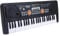 Btuty 49 Keys USB Electronic Organ Electric Piano with Microphone Black Digital Music Electronic Keyboard Built-in Stereo Speakers with 16 Tones 8 Rhythms 6 Demo Songs 5 Percussion Gift