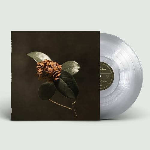 Records JV/RED/St. Paul & The Broken Bones LP2